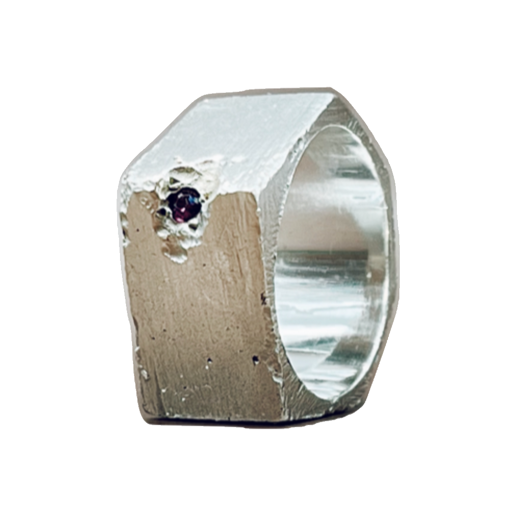 Anillo Renasci