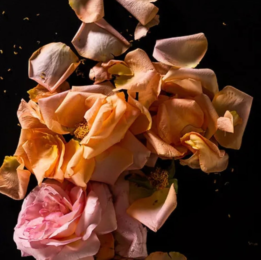 Vela aromática - Rosas frescas