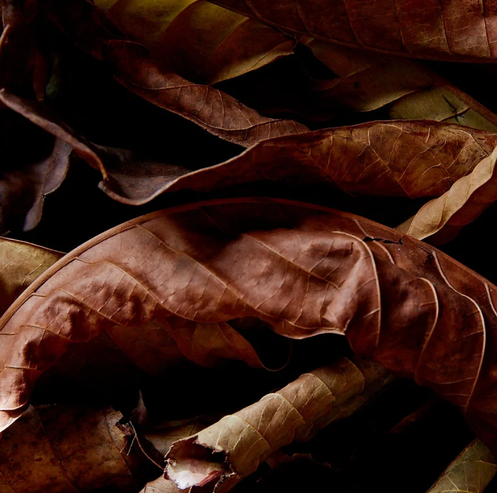Aceite perfumado - Tabaco