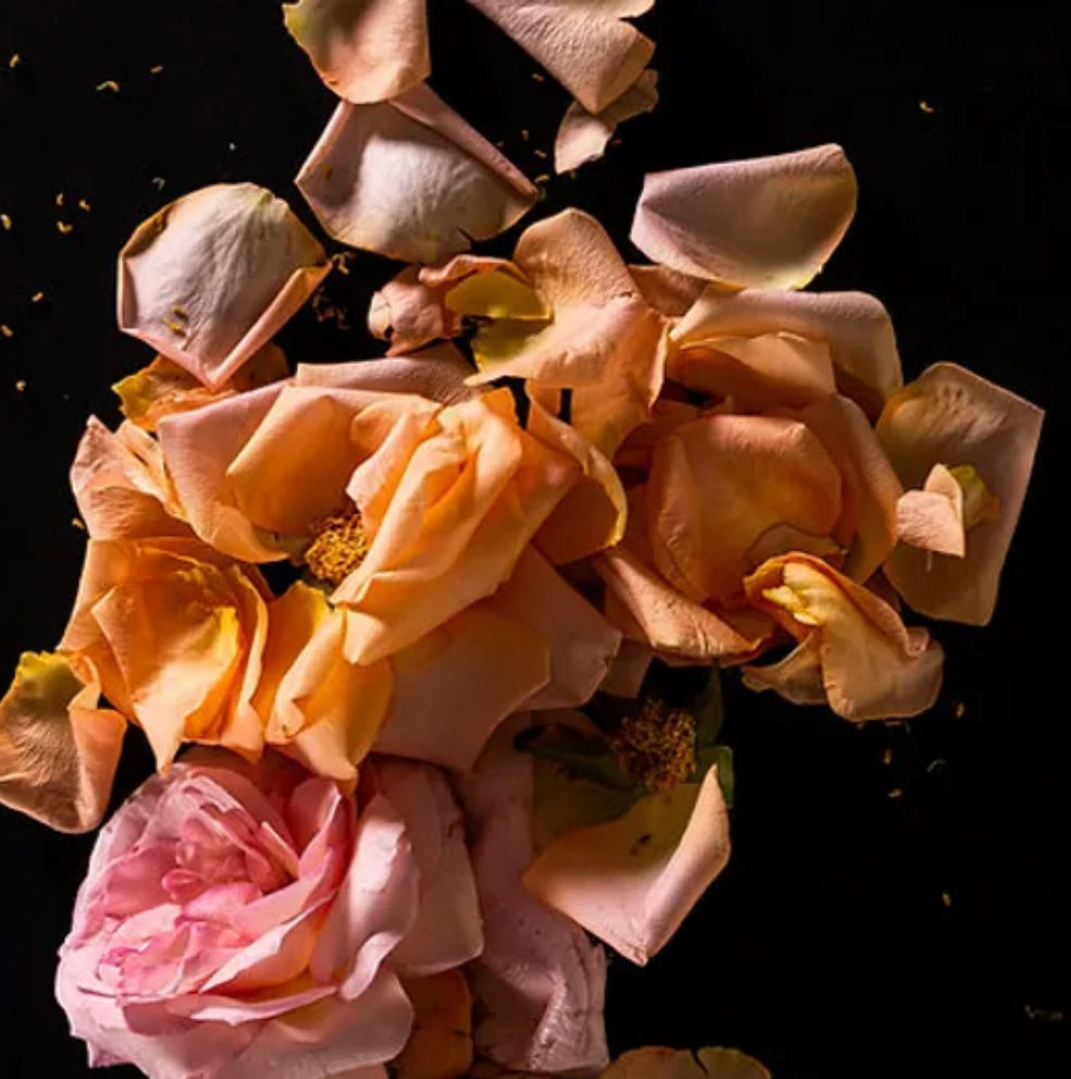 Aceite perfumado - Rosas frescas